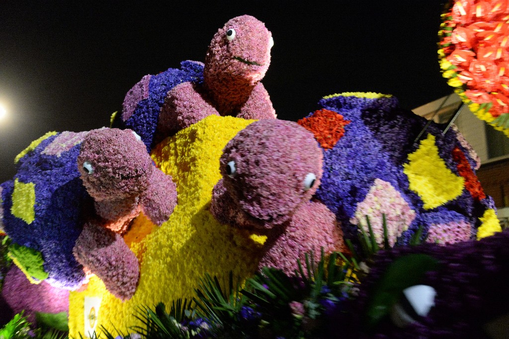 ../Images/Verlicht corso Noordwijkerhout 2019 058.jpg